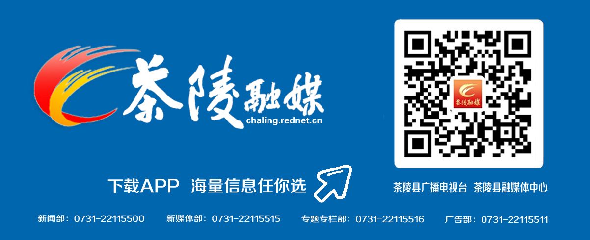 首趟株洲旅游专列驶入茶陵 一场穿越历史与自然的红色之旅